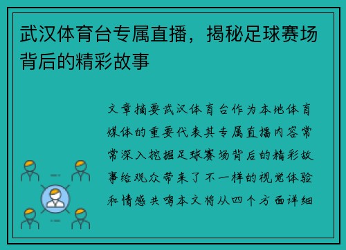 武汉体育台专属直播，揭秘足球赛场背后的精彩故事